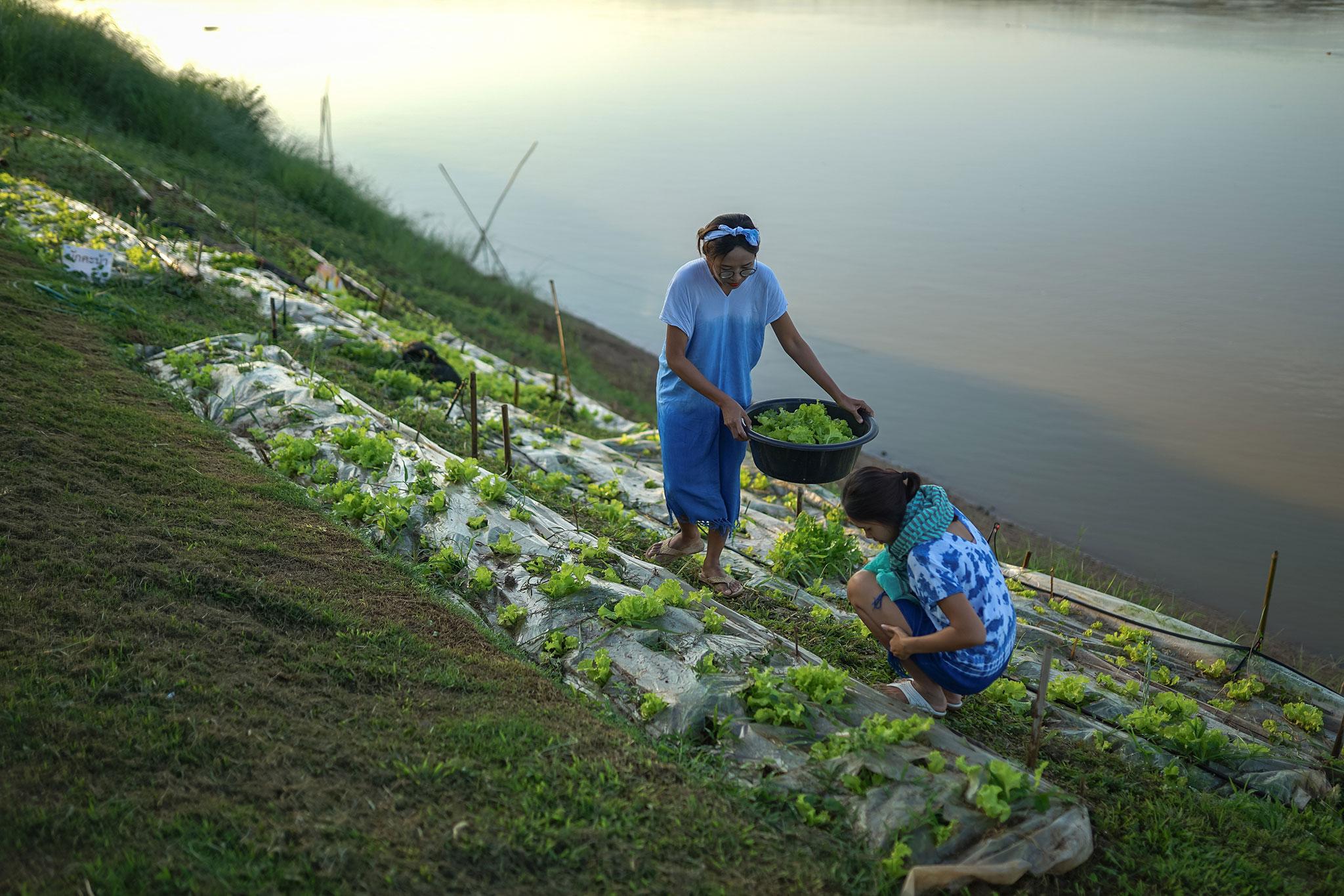 Chiangkhan River Mountain Resort Chiang Khan Esterno foto